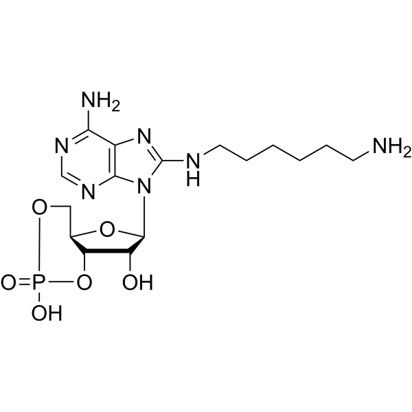 8-AHA-cAMP 39824-30-1
